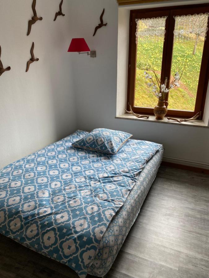 Au Nid Des Pies Apartment Soultzeren Luaran gambar